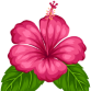 Hawaii Tourism Directory